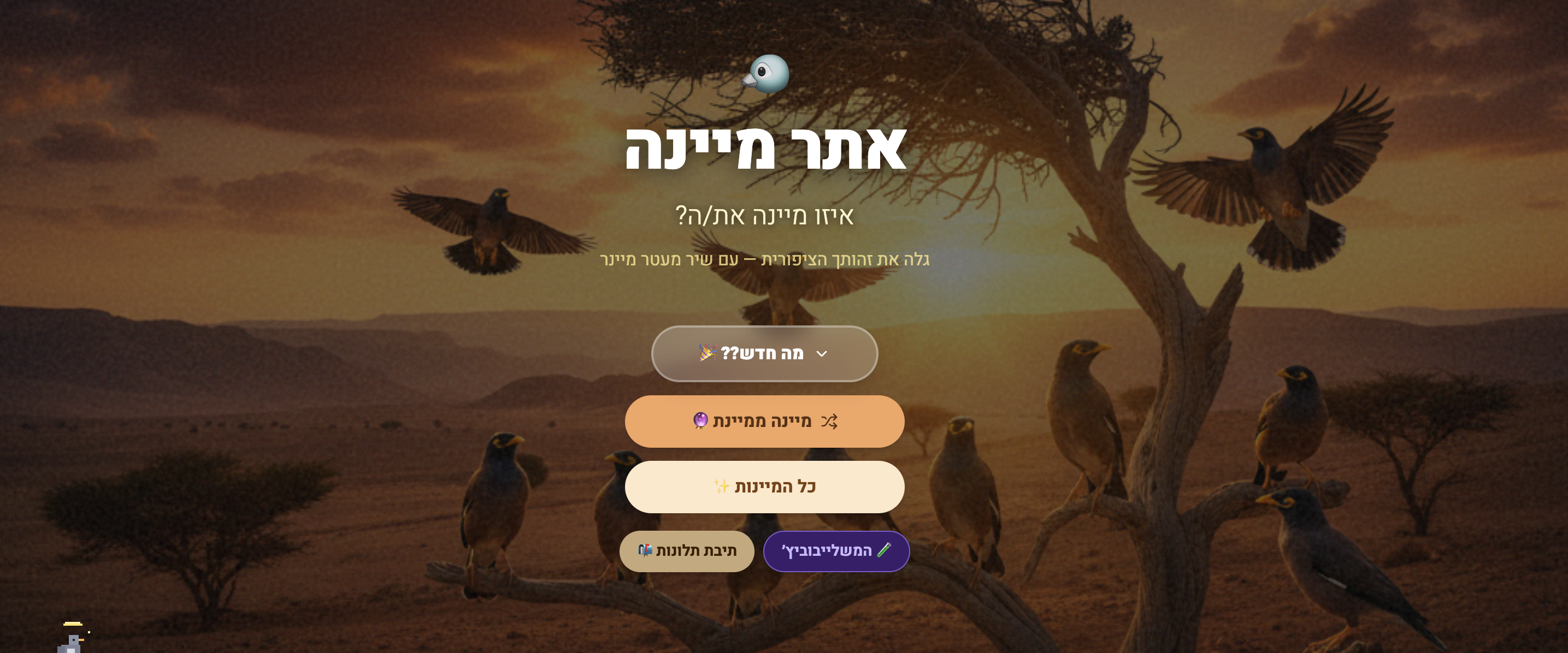 הציפור שפיצחה אותנו: איך הפך "אתר מיינה" לפסיכולוג של החברה הישראלית